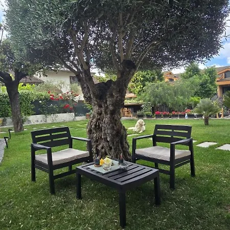 A Casa Di Dody Guidonia